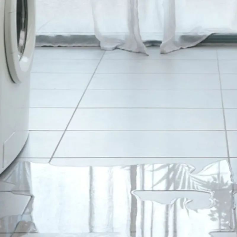 Appliance Leak Cleanup in Gladstone, MI