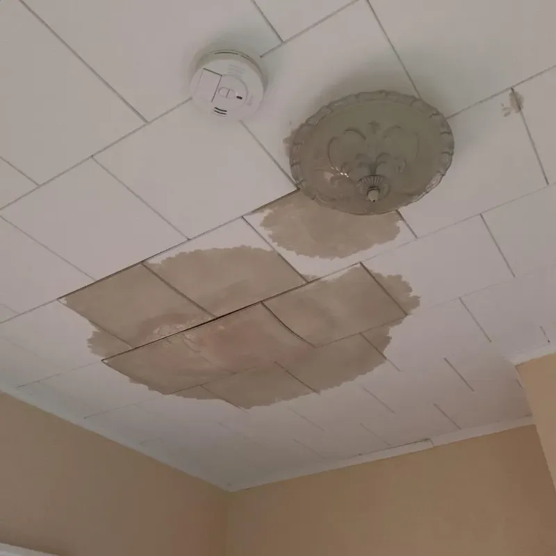 Ceiling Water Damage Repair in Gladstone, MI