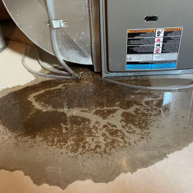 Pipe Burst and Leak Restoration in Gladstone, MI