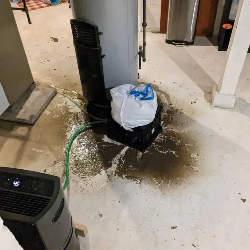 Sewage Backup Cleanup Service in Gladstone, MI